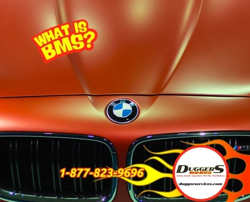BMS reset on european vehicles